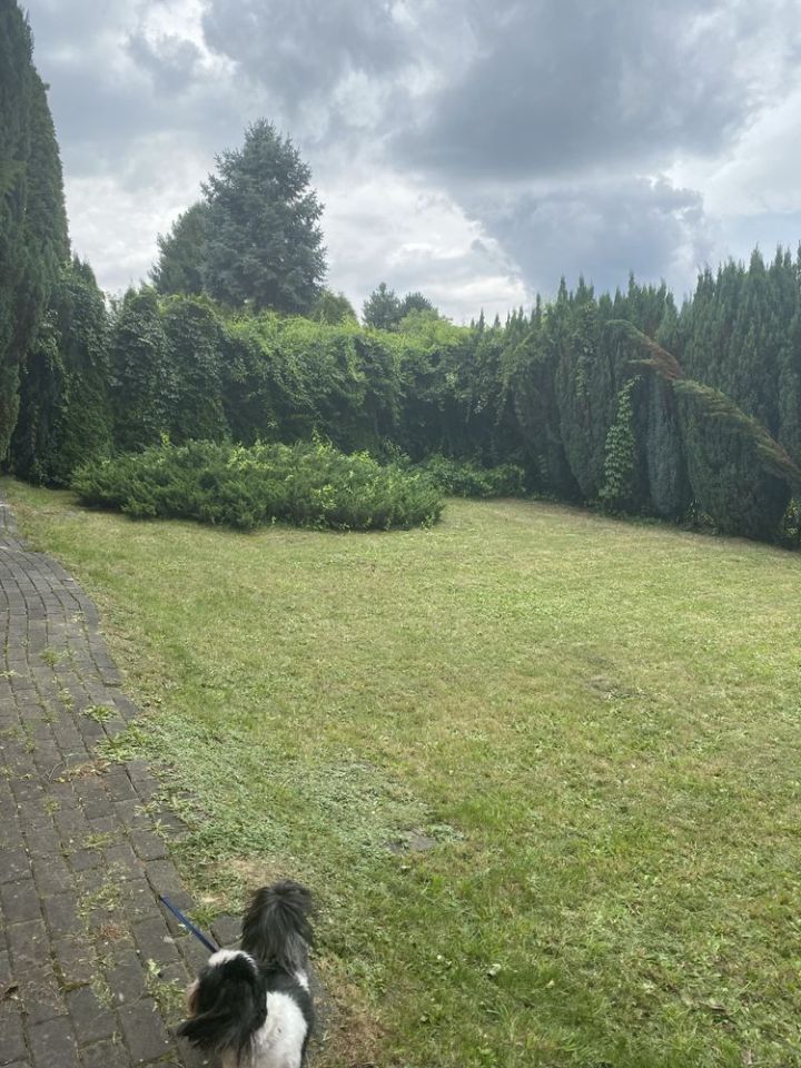 Działka rod Świętochłowice, ul. Pokoju. Zdjęcie 5