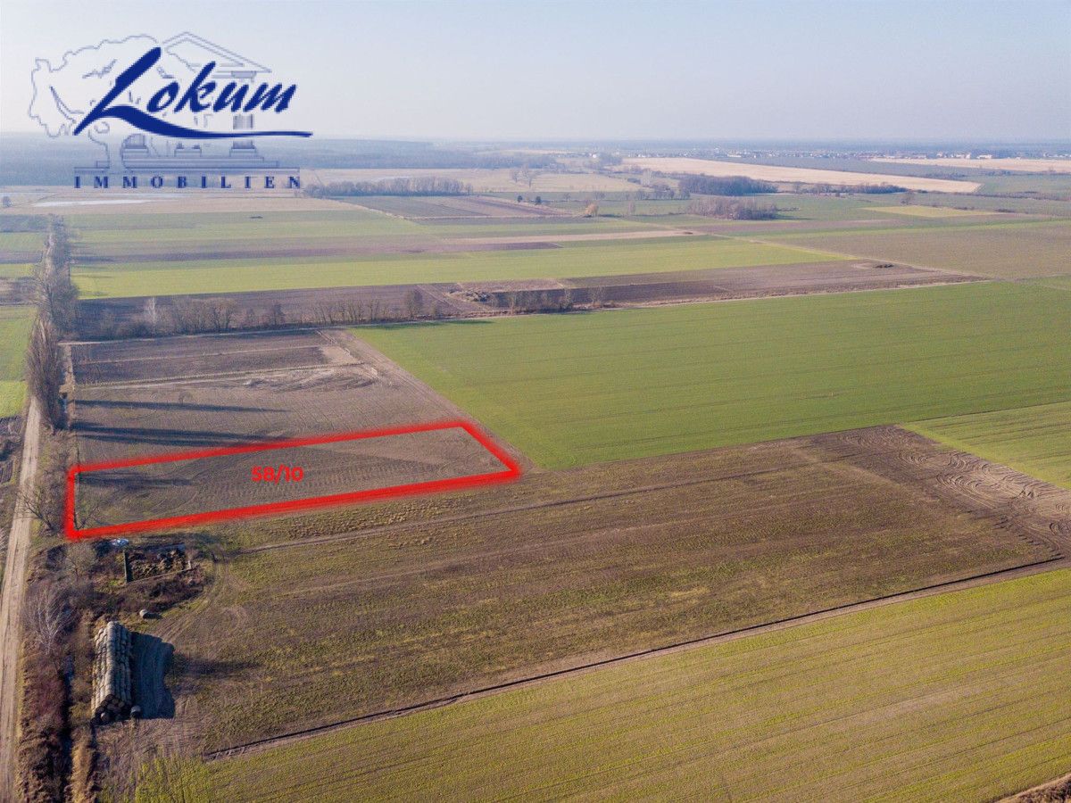 Działka siedliskowa Przybyszewo. Zdjęcie 8