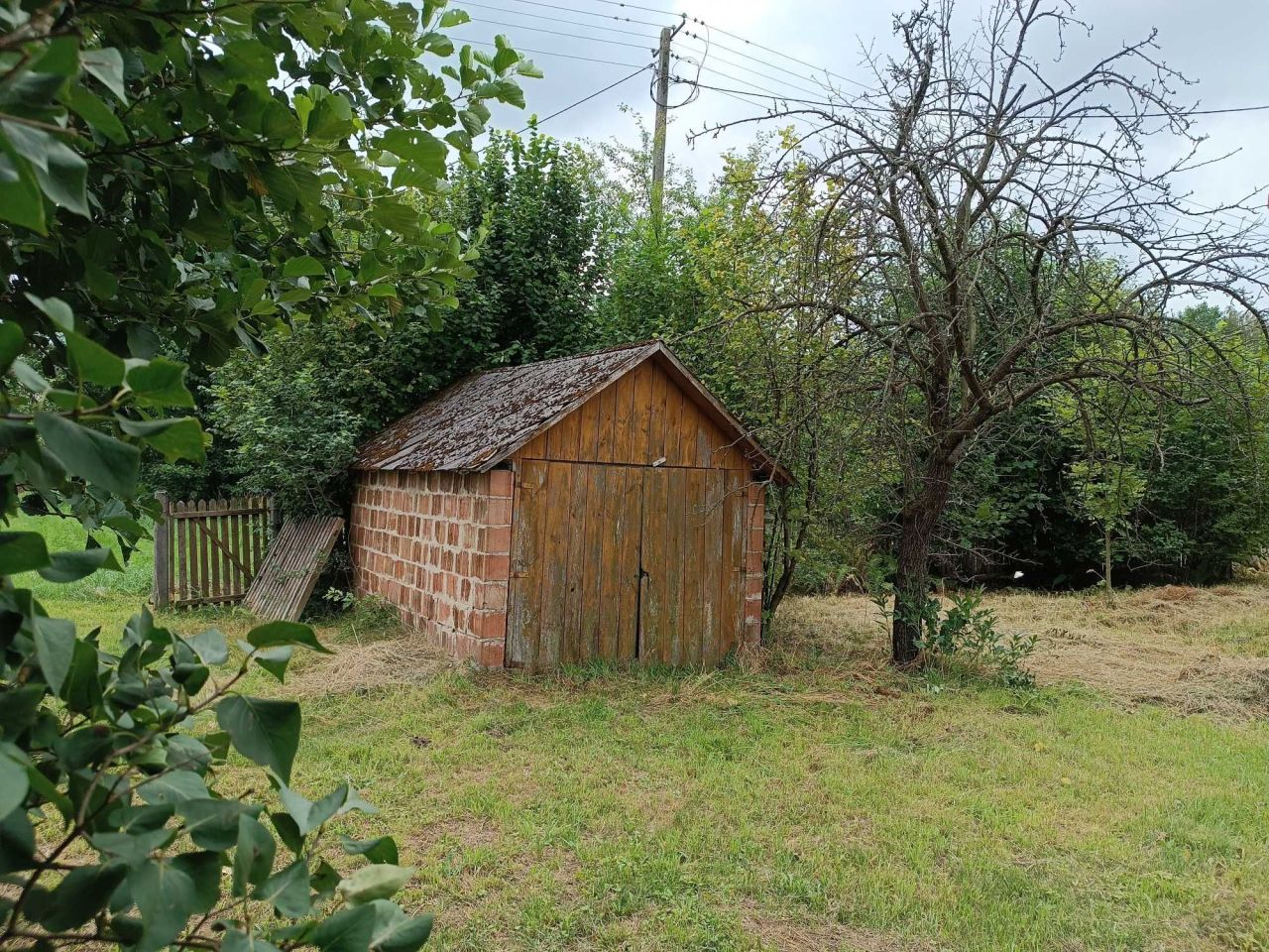 gospodarstwo Kupno. Zdjęcie 6