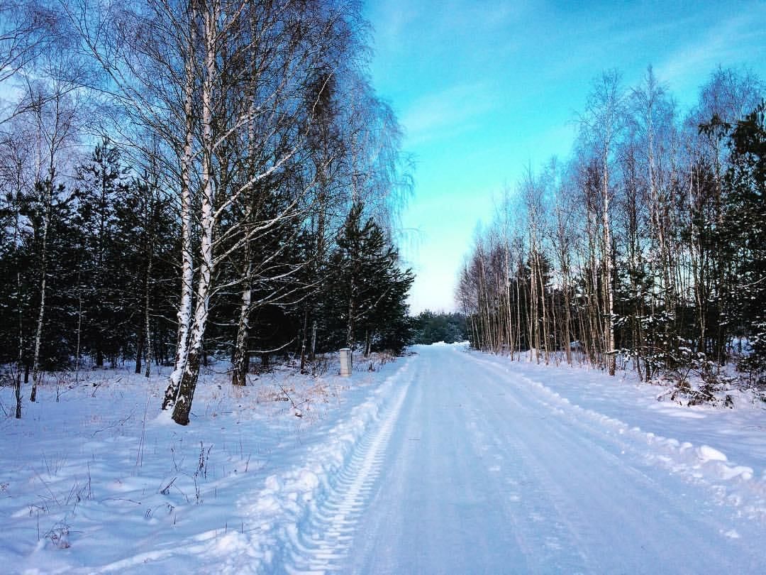 dom wolnostojący, 4 pokoje Borowa, ul. Tulipanowa. Zdjęcie 8