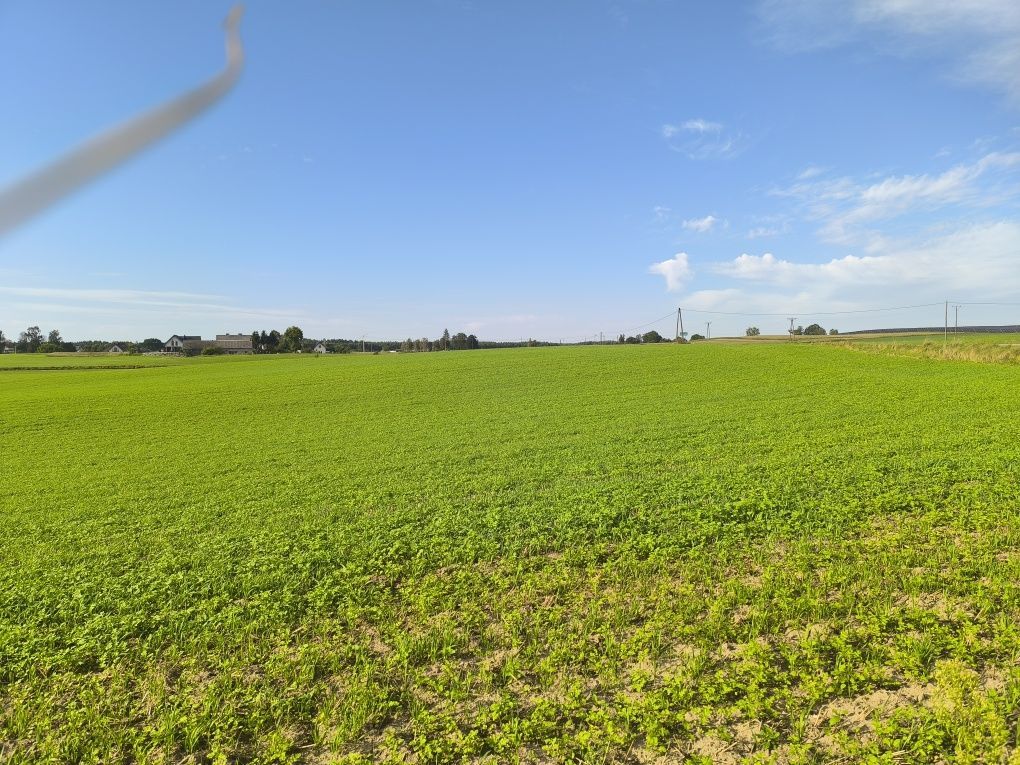 Działka budowlana Nowy Podleś. Zdjęcie 4