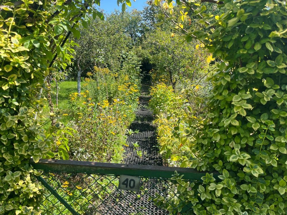 Działka rod Wrocław Krzyki. Zdjęcie 8