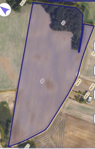 Działka rolna Zakrzewo. Zdjęcie 1