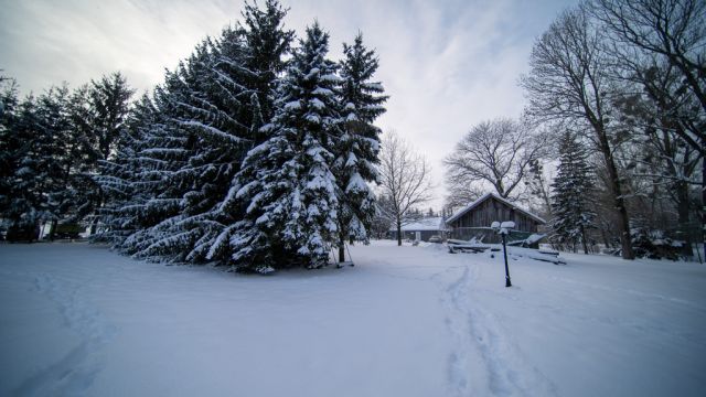 dom, 2 pokoje Sewerynów. Zdjęcie 30