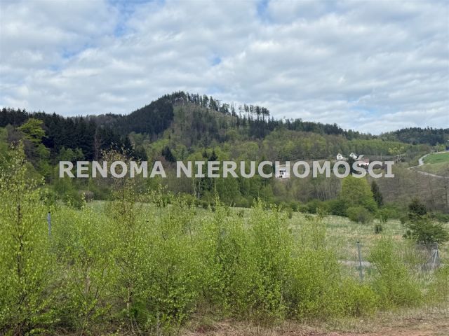 Działka budowlana Jedlina-Zdrój Kamieńsk. Zdjęcie 1