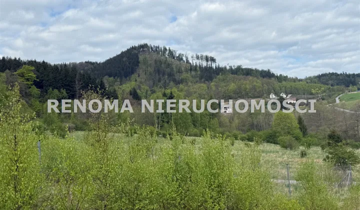 Działka budowlana Jedlina-Zdrój Kamieńsk