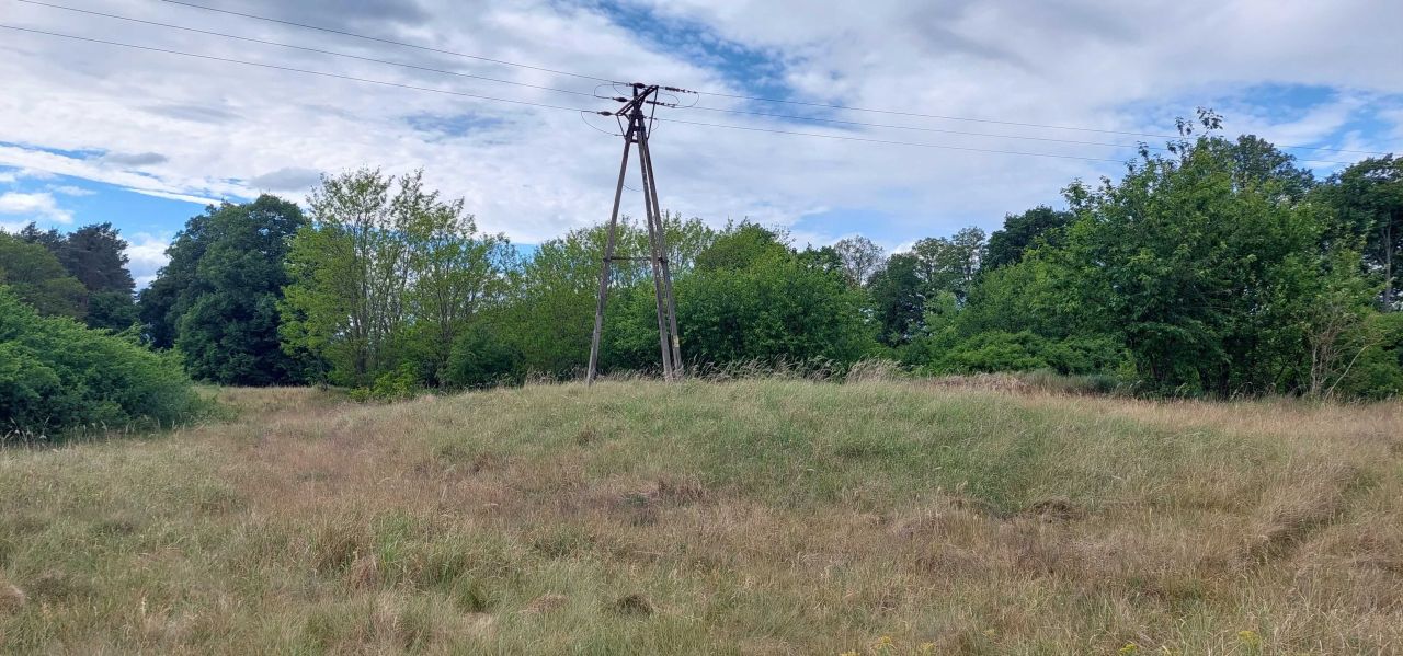 Działka rolna Borowiec. Zdjęcie 3