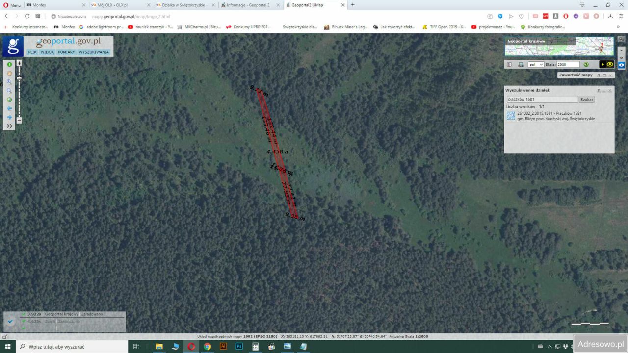 Działka rolna Płaczków. Zdjęcie 9