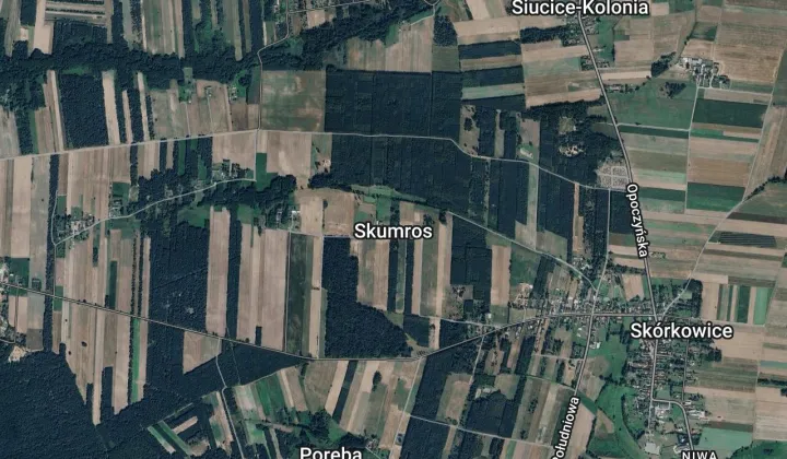 Działka leśna Skumros