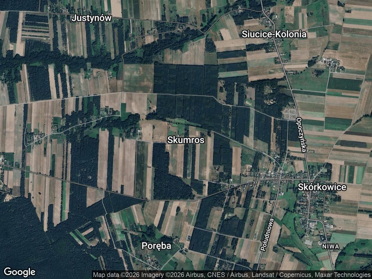 Działka leśna Skumros. Zdjęcie 1