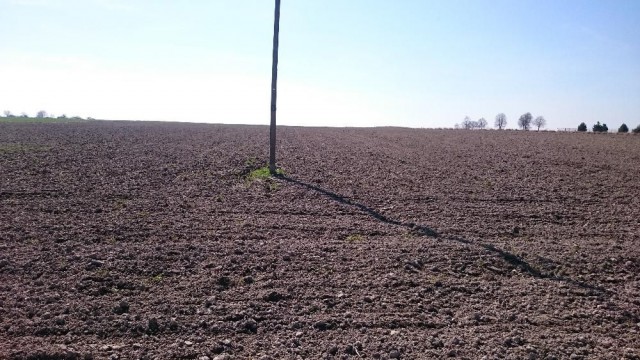 Działka rolno-budowlana Piotrowice. Zdjęcie 1