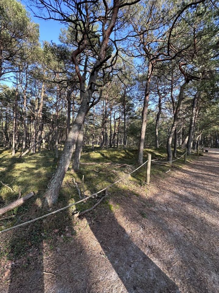 Działka budowlana Smołdziński Las. Zdjęcie 7