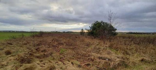 Działka rolna Siewierz. Zdjęcie 1