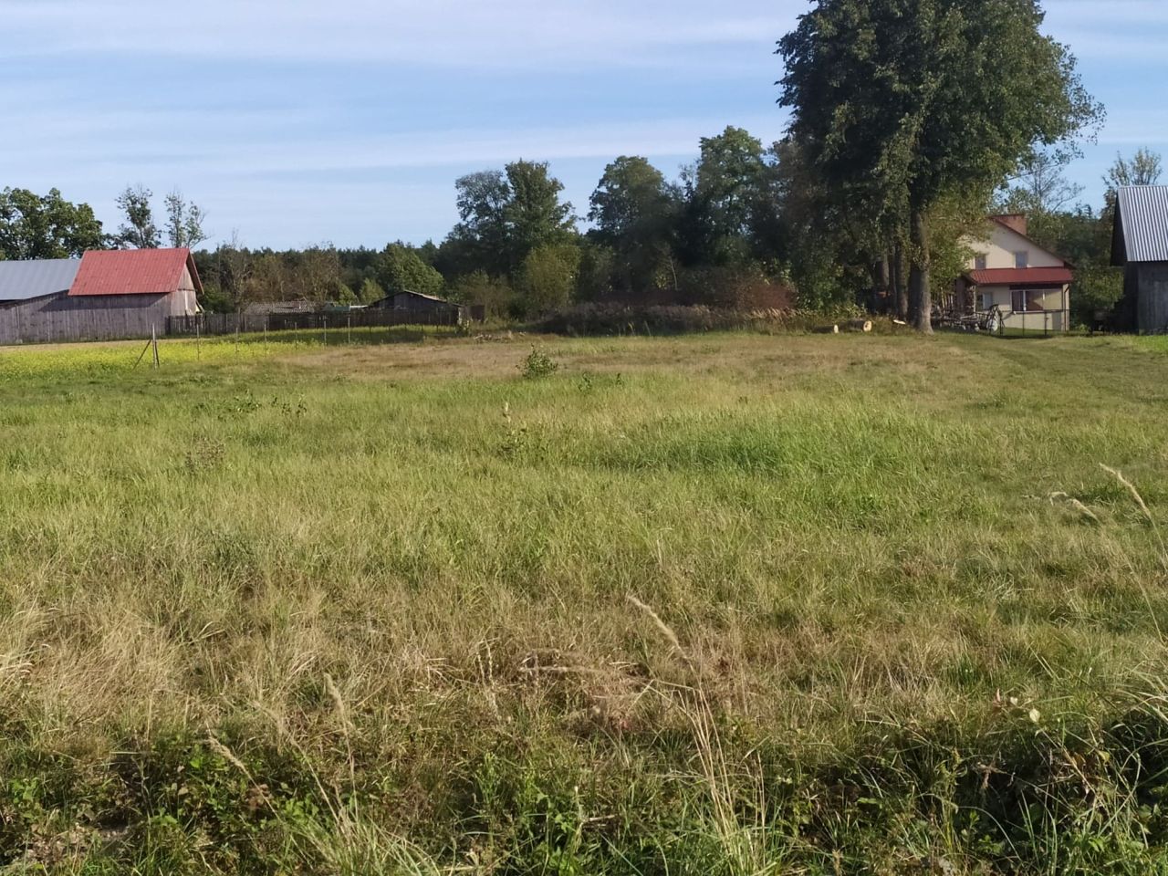 Działka rolno-budowlana Mołodycz Grobla. Zdjęcie 2