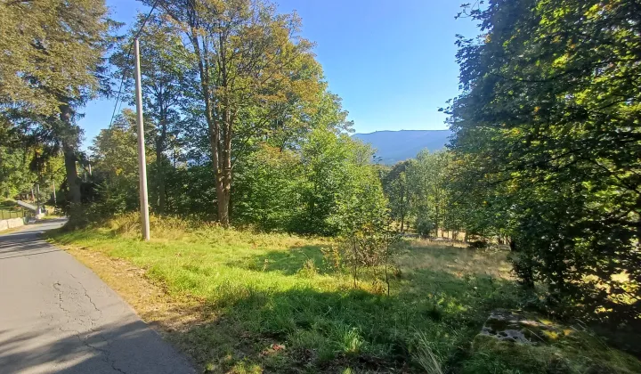 Działka inwestycyjna Szklarska Poręba Biała Dolina, ul. Izerska