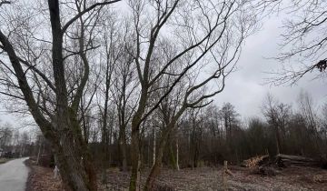 Działka budowlana Leśniakowizna, ul. Poligonowa