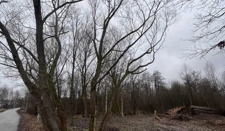 Działka budowlana Leśniakowizna, ul. Poligonowa