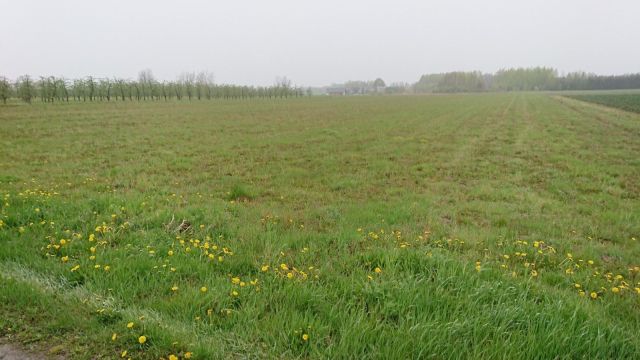 Działka rolno-budowlana Częstoniew. Zdjęcie 1