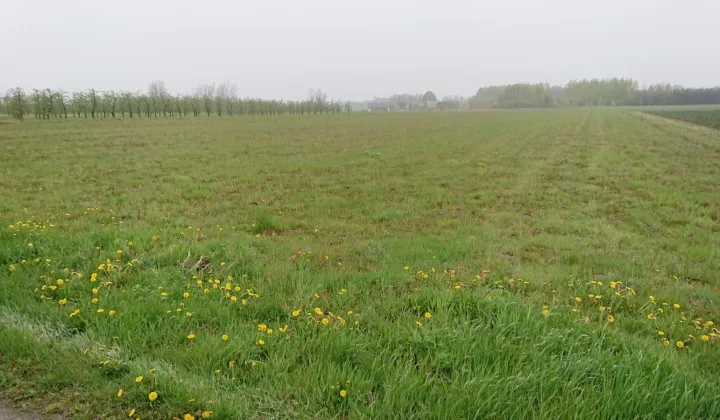 Działka rolno-budowlana Częstoniew