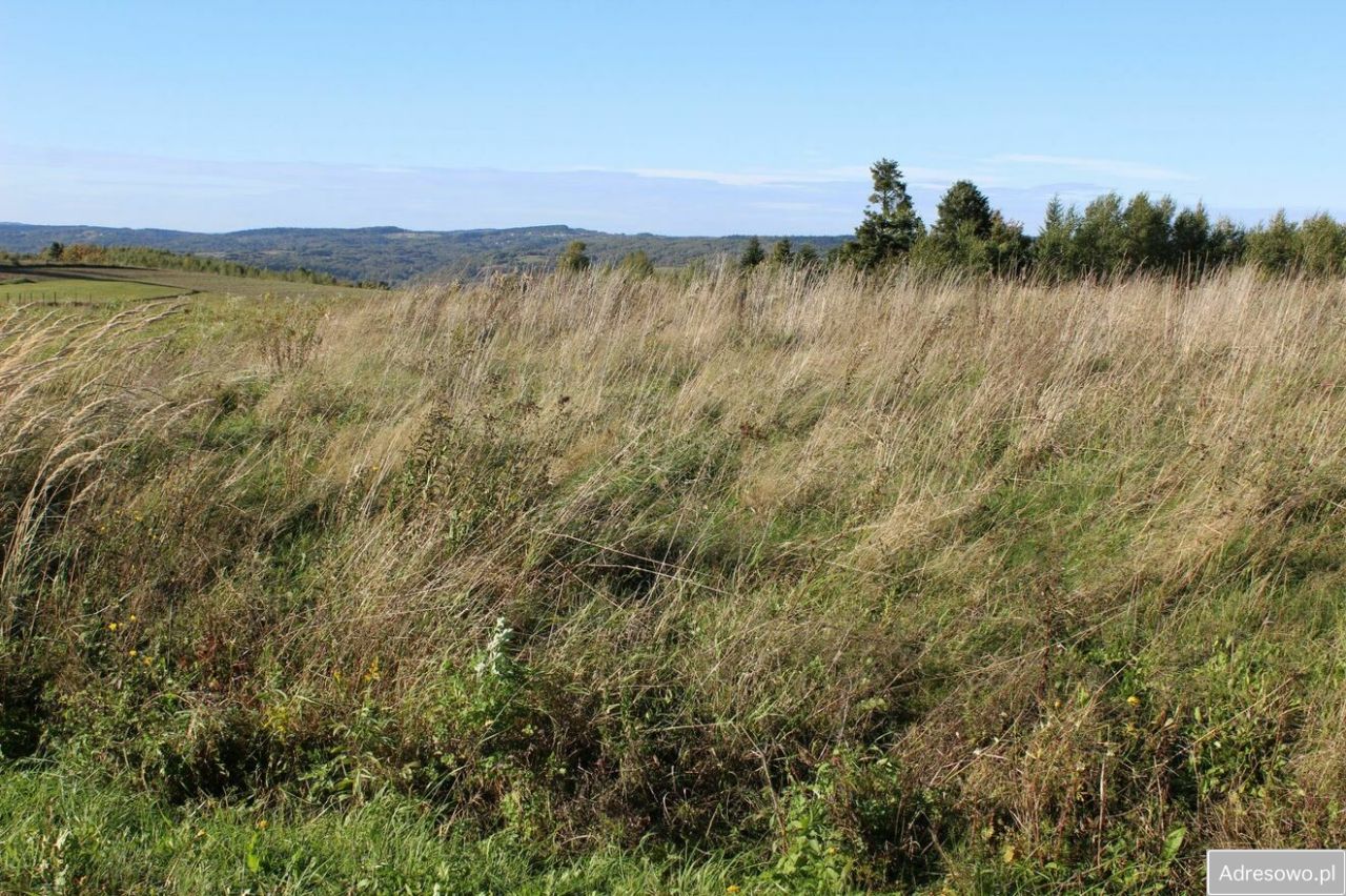 Działka budowlana Domaradz. Zdjęcie 6