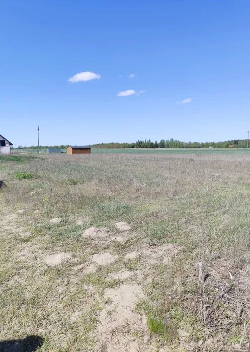 Działka budowlana Cegielnia. Zdjęcie 2