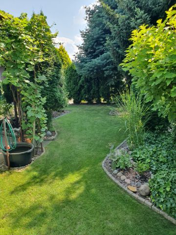 Działka rod Koninko, ul. Porzeczkowa. Zdjęcie 4