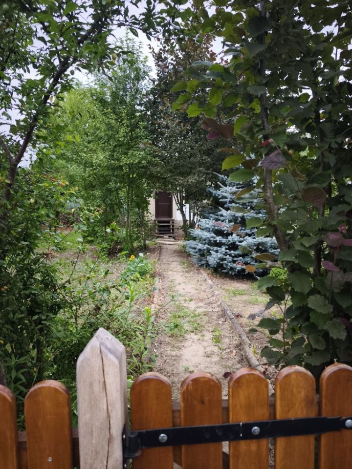 Działka rod Toruń. Zdjęcie 3