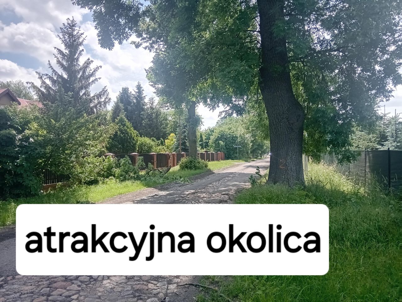 Działka budowlana Świerzna. Zdjęcie 7