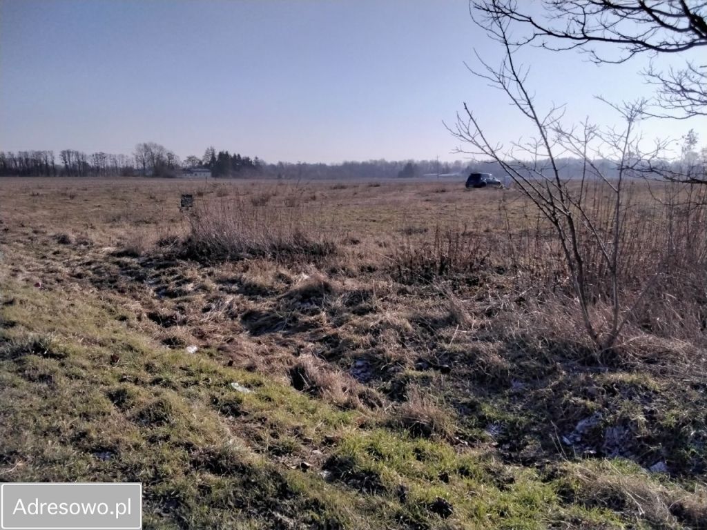 Działka rolno-budowlana Podkampinos. Zdjęcie 3