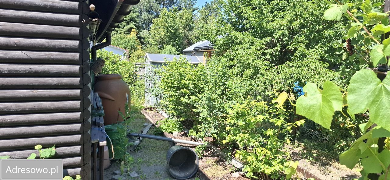 Działka rod Krępa. Zdjęcie 3