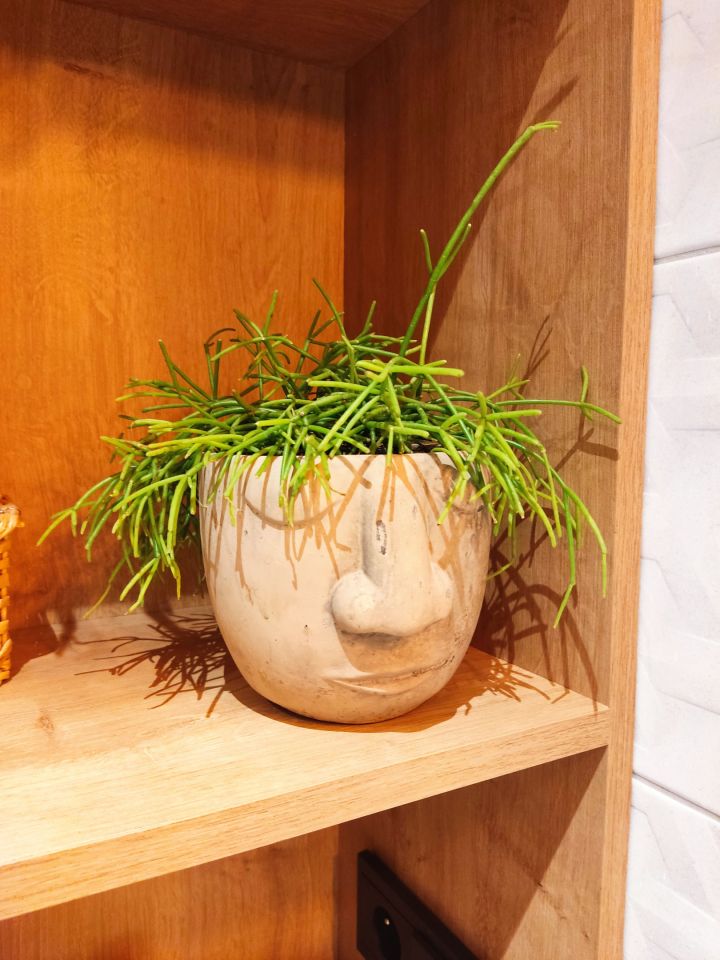 dom wolnostojący, 5 pokoi Kraków Nowa Huta, ul. Klasztorna. Zdjęcie 18