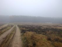 Działka budowlana Ugoszcz. Zdjęcie 2