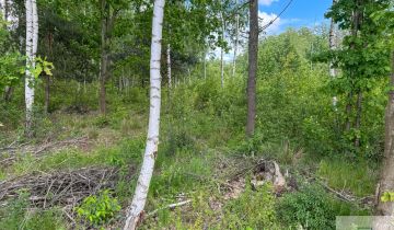 Działka budowlana Wola Rowska