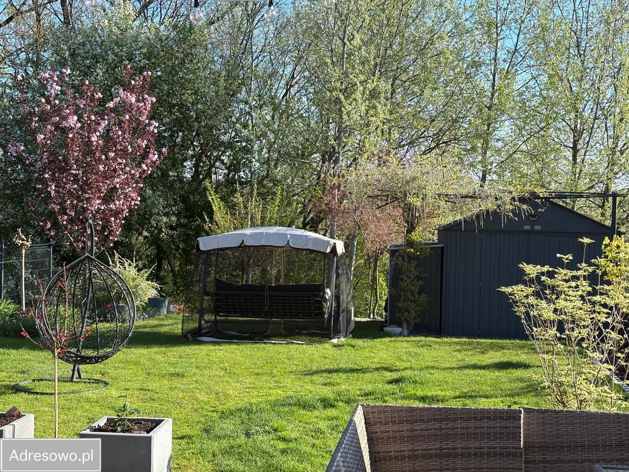 bliźniak, 4 pokoje Pniów, ul. Miodowa. Zdjęcie 2