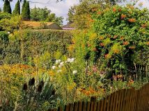 Działka rod Zamość, ul. Czesława Miłosza. Zdjęcie 2