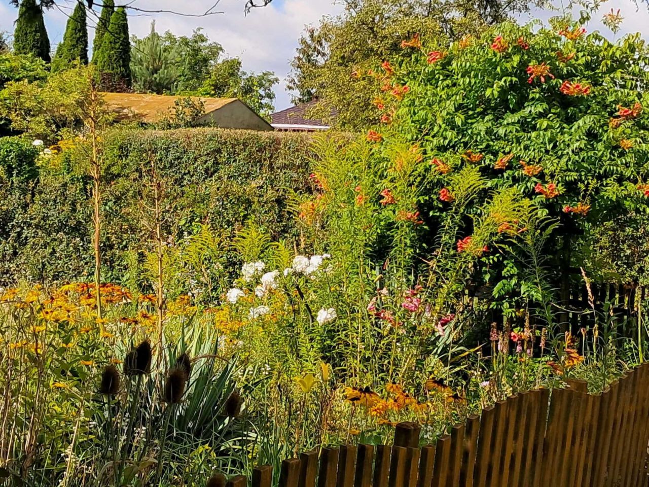 Działka rod Zamość, ul. Czesława Miłosza. Zdjęcie 3