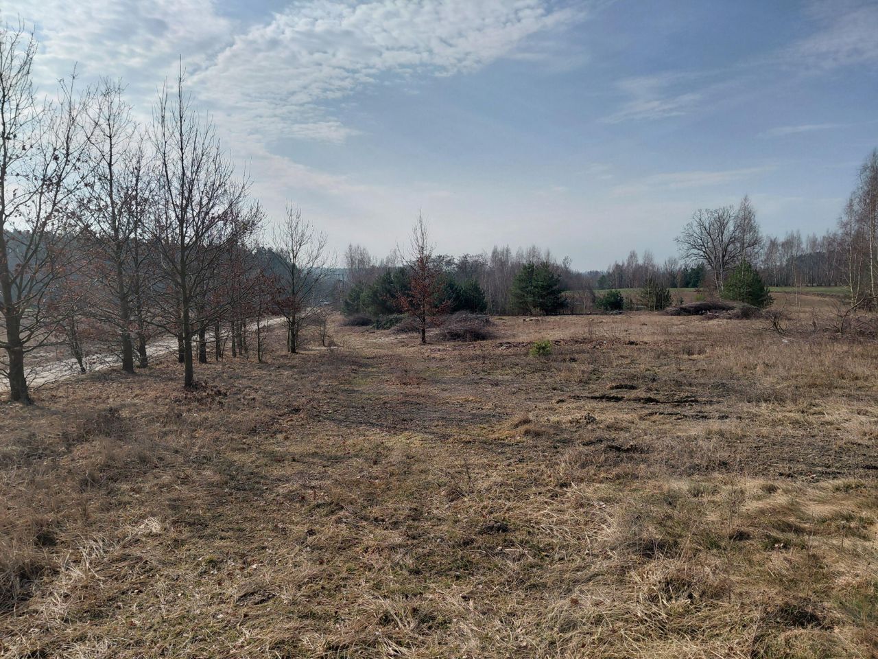 Działka rolno-budowlana Rzeczków. Zdjęcie 16