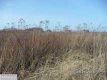 Działka budowlana Wilkszyn, ul. Orla. Zdjęcie 2
