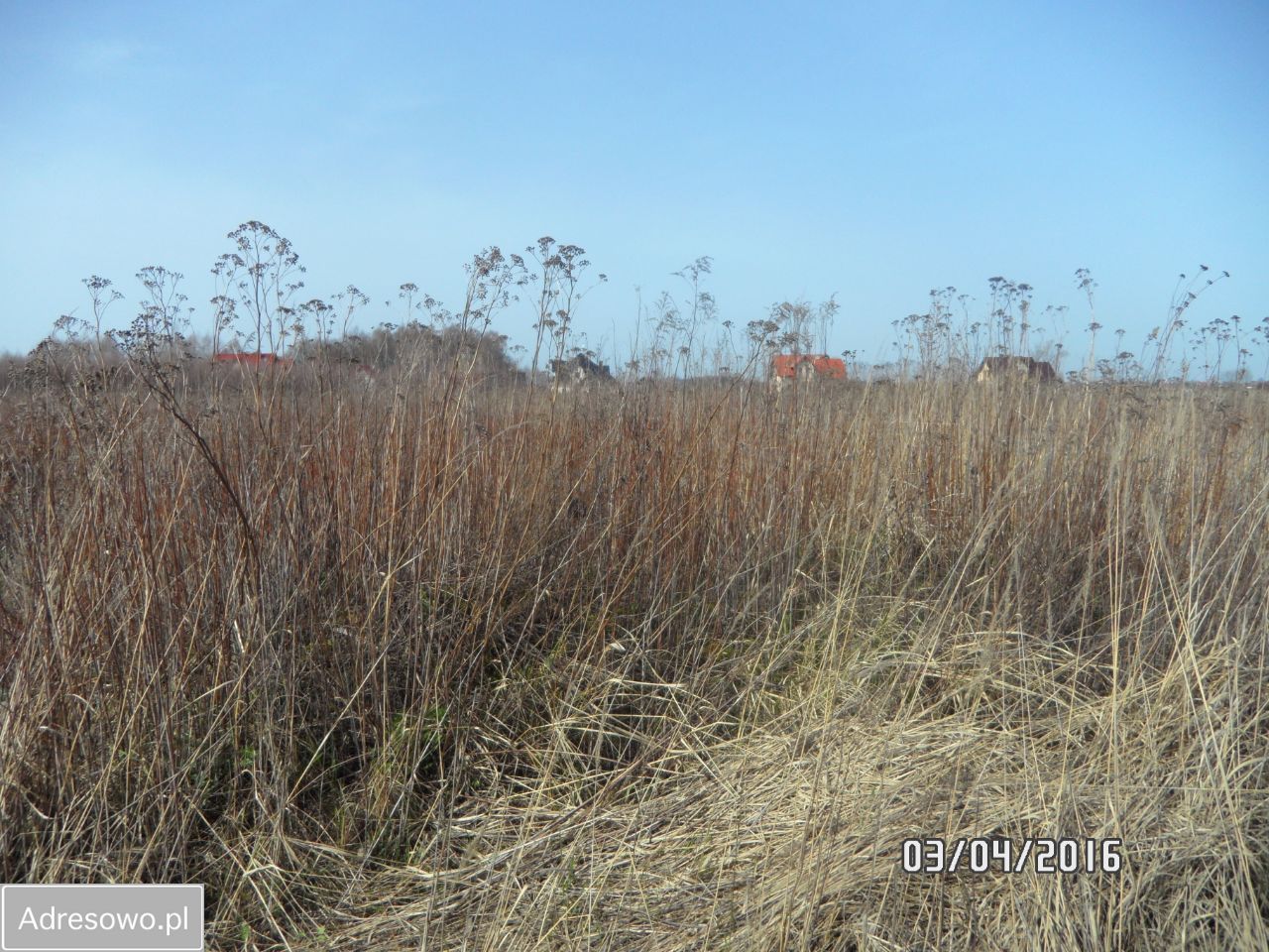 Działka budowlana Wilkszyn, ul. Orla. Zdjęcie 3