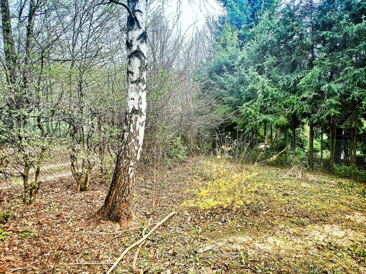 Działka budowlana Łańcut Przedmieście Górne, ul. Józefa Piłsudskiego. Zdjęcie 2