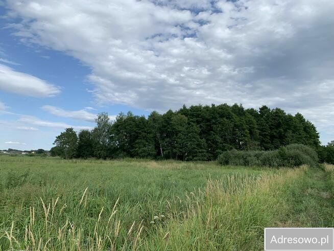Działka leśna Garki. Zdjęcie 14