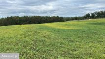 Działka budowlana Łebno, ul. Rycerska. Zdjęcie 4