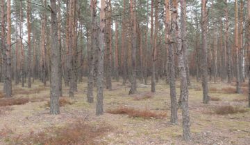 Działka leśna Emów, ul. Runa Leśnego