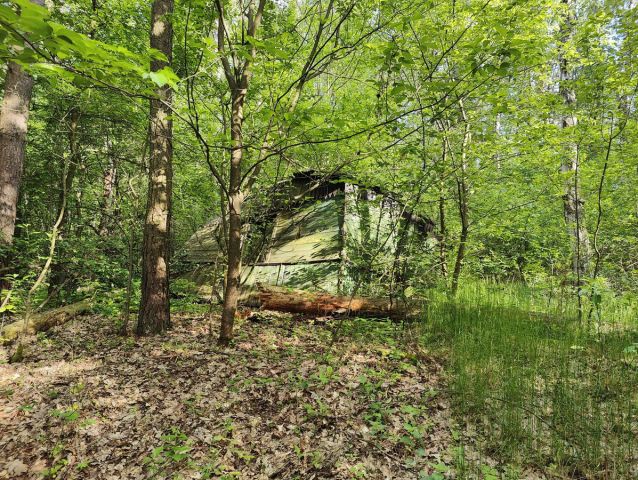 Działka leśna Wilkowyja. Zdjęcie 1