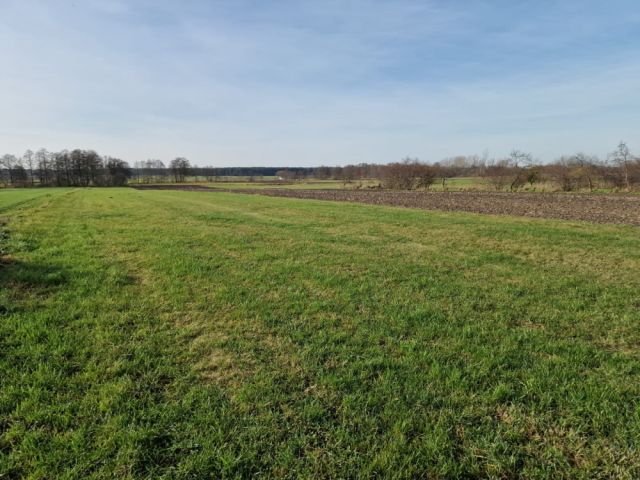 Działka rolna Biskupice. Zdjęcie 2