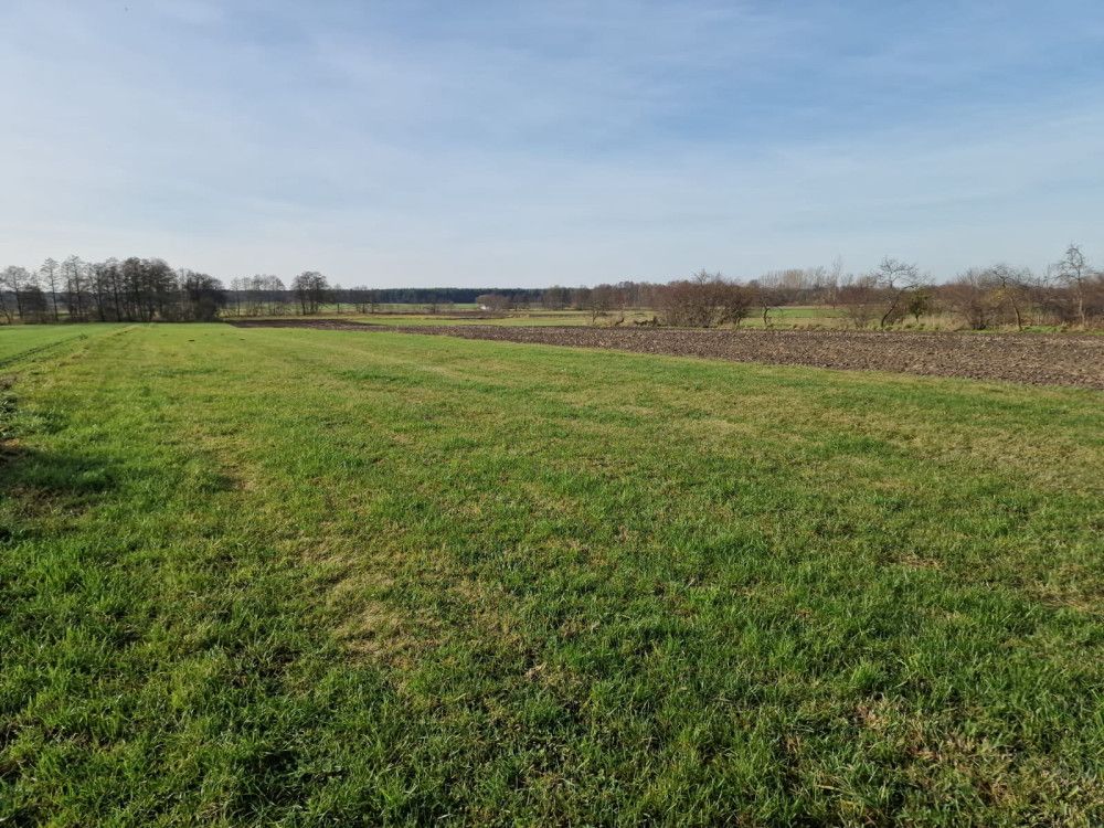 Działka rolna Biskupice. Zdjęcie 2