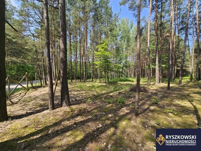 Działka budowlana Trzepieciny. Zdjęcie 2