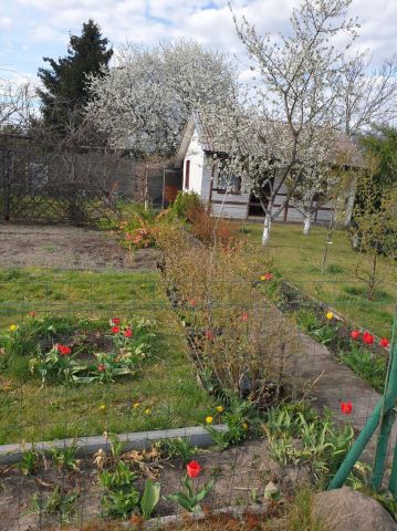 Działka rod Bydgoszcz Szwederowo, ul. Bielicka. Zdjęcie 1