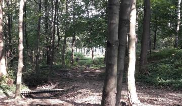 Działka rekreacyjna Czaniec, ul. Myśliwska