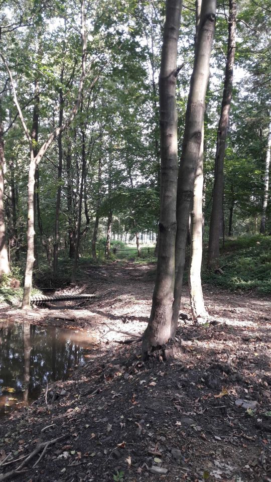 Działka rekreacyjna Czaniec, ul. Myśliwska. Zdjęcie 2